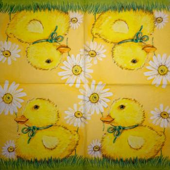 085 Ducks - 3-ply